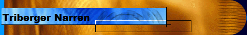 Triberger Narren      